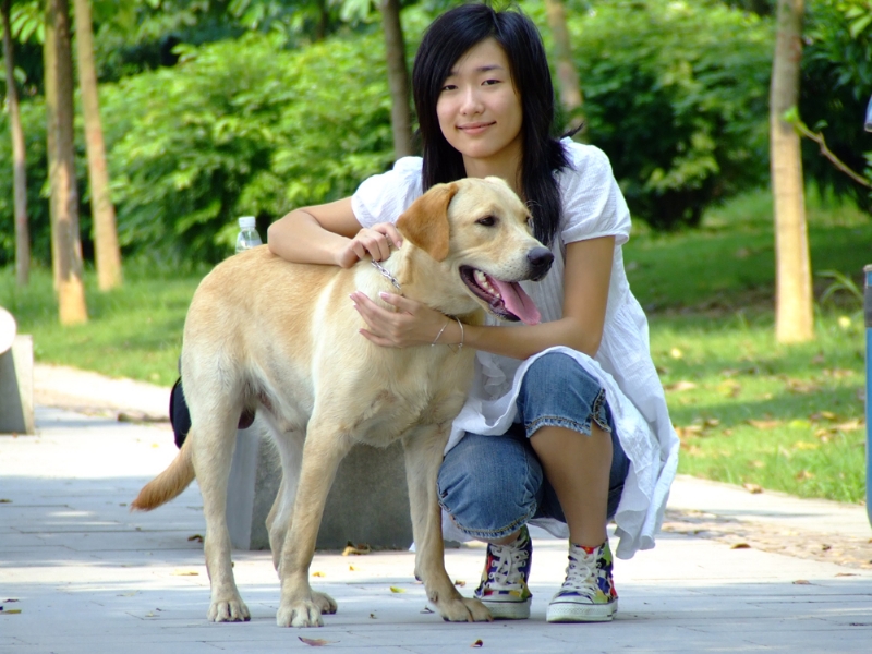风中的绿叶的第一张照片--贵港相亲服务中心