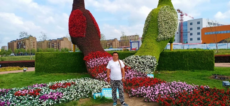 尘埃的第一张照片--贵港相亲服务中心