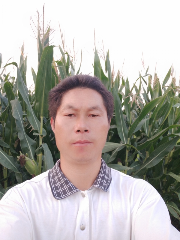 四海游龙的第一张照片--贵港相亲服务中心