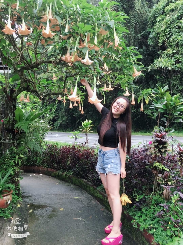 离异单身无子的第二张照片--贵港相亲服务中心