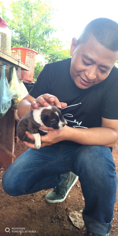 深圳相亲的第一张照片--贵港相亲服务中心