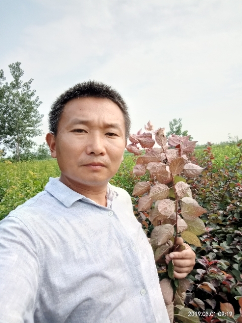 孩子爸的第二张照片--贵港相亲服务中心