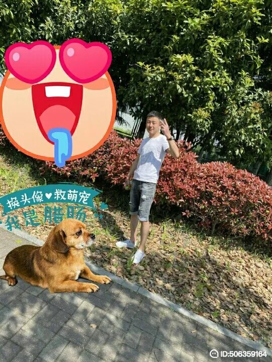 我若不坚强谁替我勇敢的第一张照片--贵港相亲服务中心