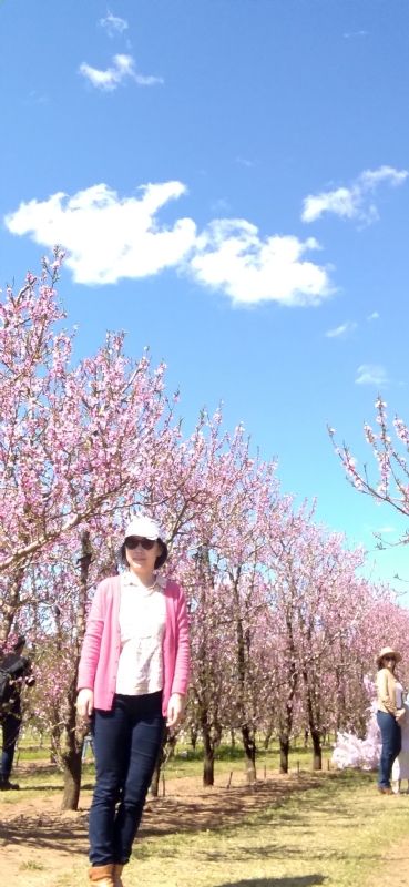 Grace的第二张照片--贵港相亲服务中心