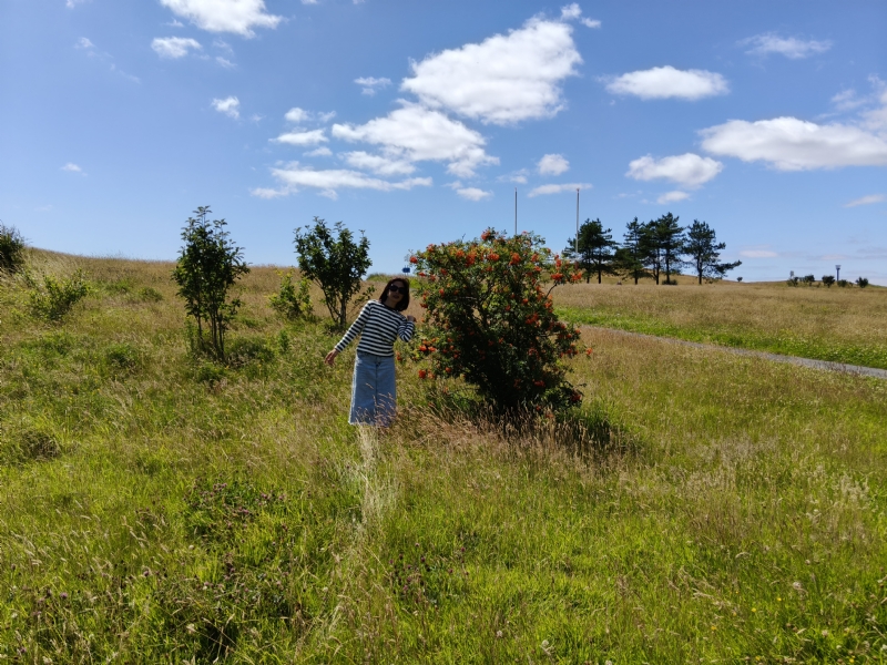 秋蝉的第一张照片--贵港相亲服务中心