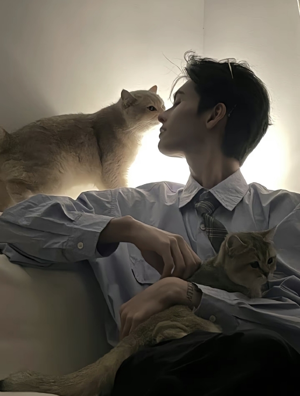 怪猫的第一张照片--贵港相亲服务中心