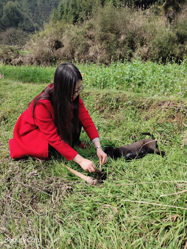 下一个春和秋的第一张照片--贵港相亲服务中心