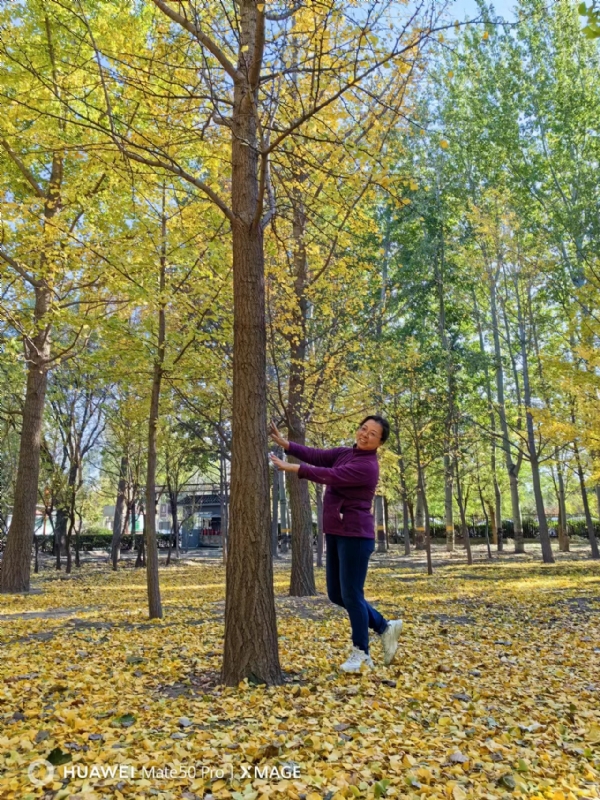 Shirley的第一张照片--贵港相亲服务中心