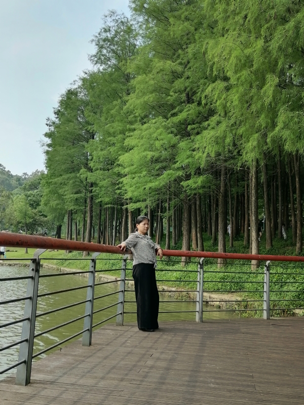 遗失的记忆的第二张照片--贵港相亲服务中心