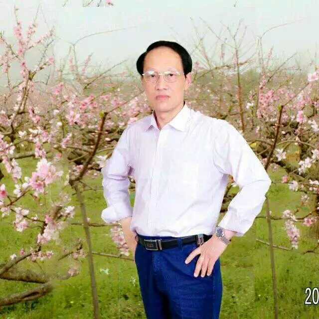 枫叶的第一张照片--贵港相亲服务中心