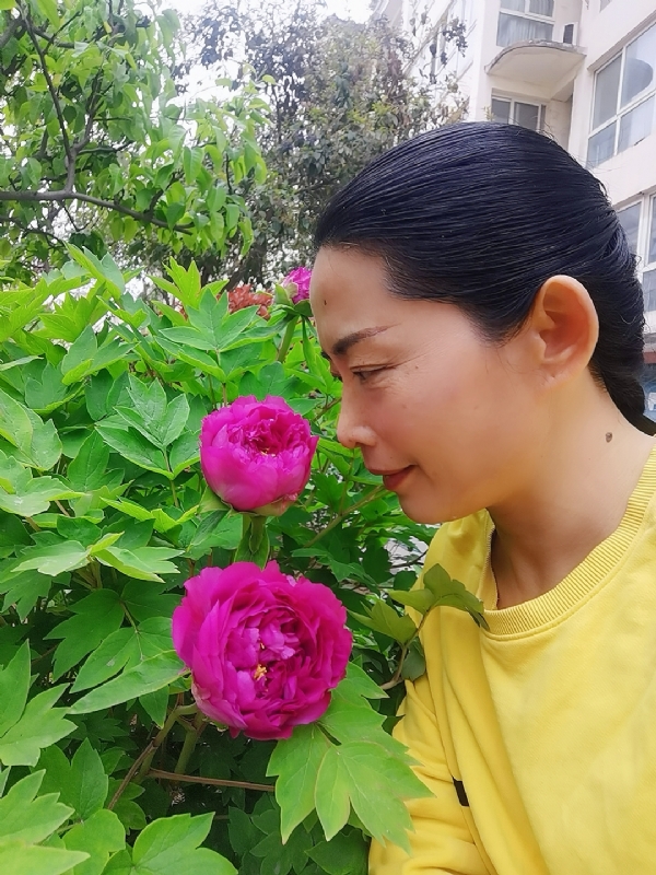 厚德载物的第一张照片--贵港相亲服务中心