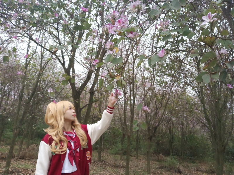 暮秋的第二张照片--贵港相亲服务中心