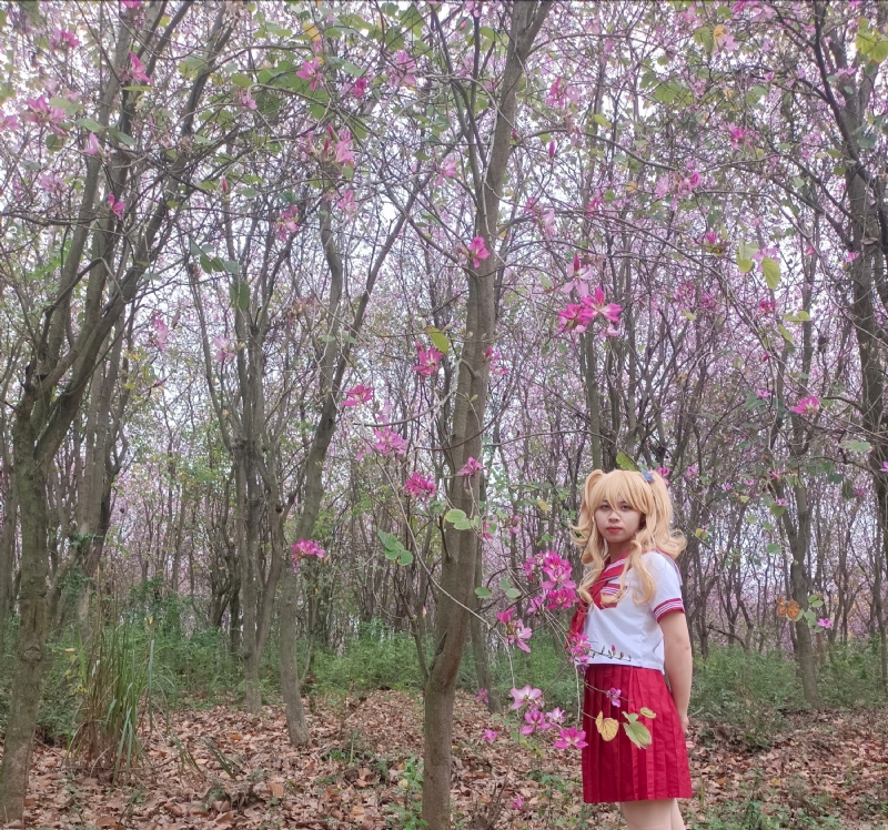 暮秋的第四张照片--贵港相亲服务中心