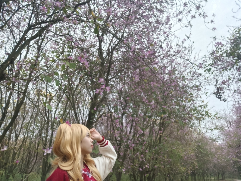 暮秋的第五张照片--贵港相亲服务中心