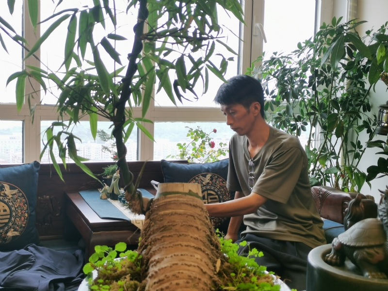 成个家的第一张照片--贵港相亲服务中心