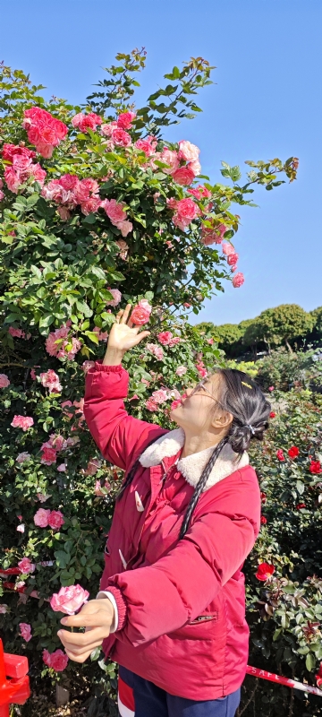 狗狗的第一张照片--贵港相亲服务中心