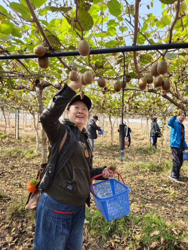 夜莺的第四张照片--贵港相亲服务中心
